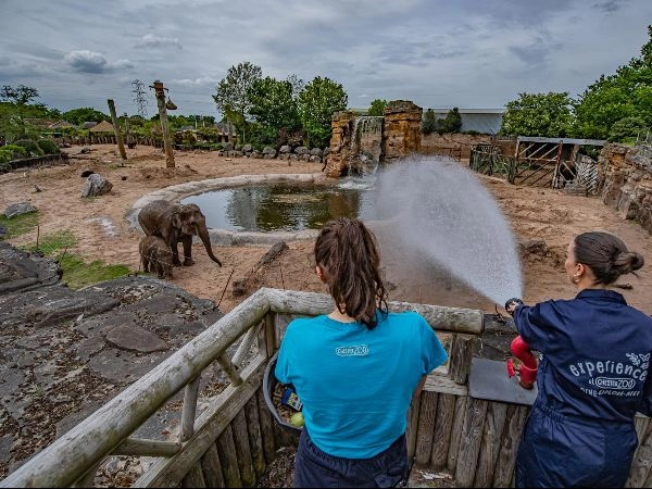 elephant-experience (1) 11 unique date ideas